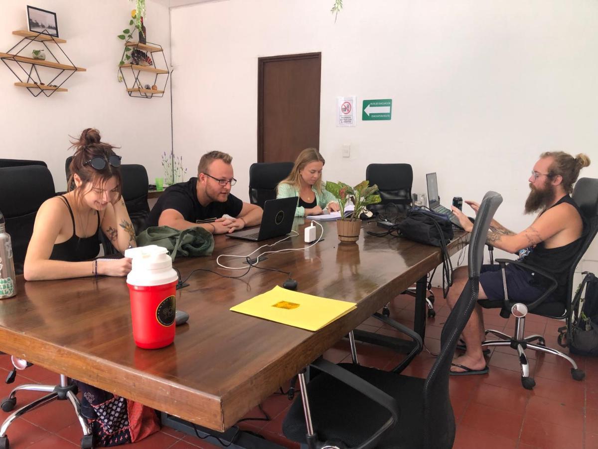 Hostal Leveli Coliving