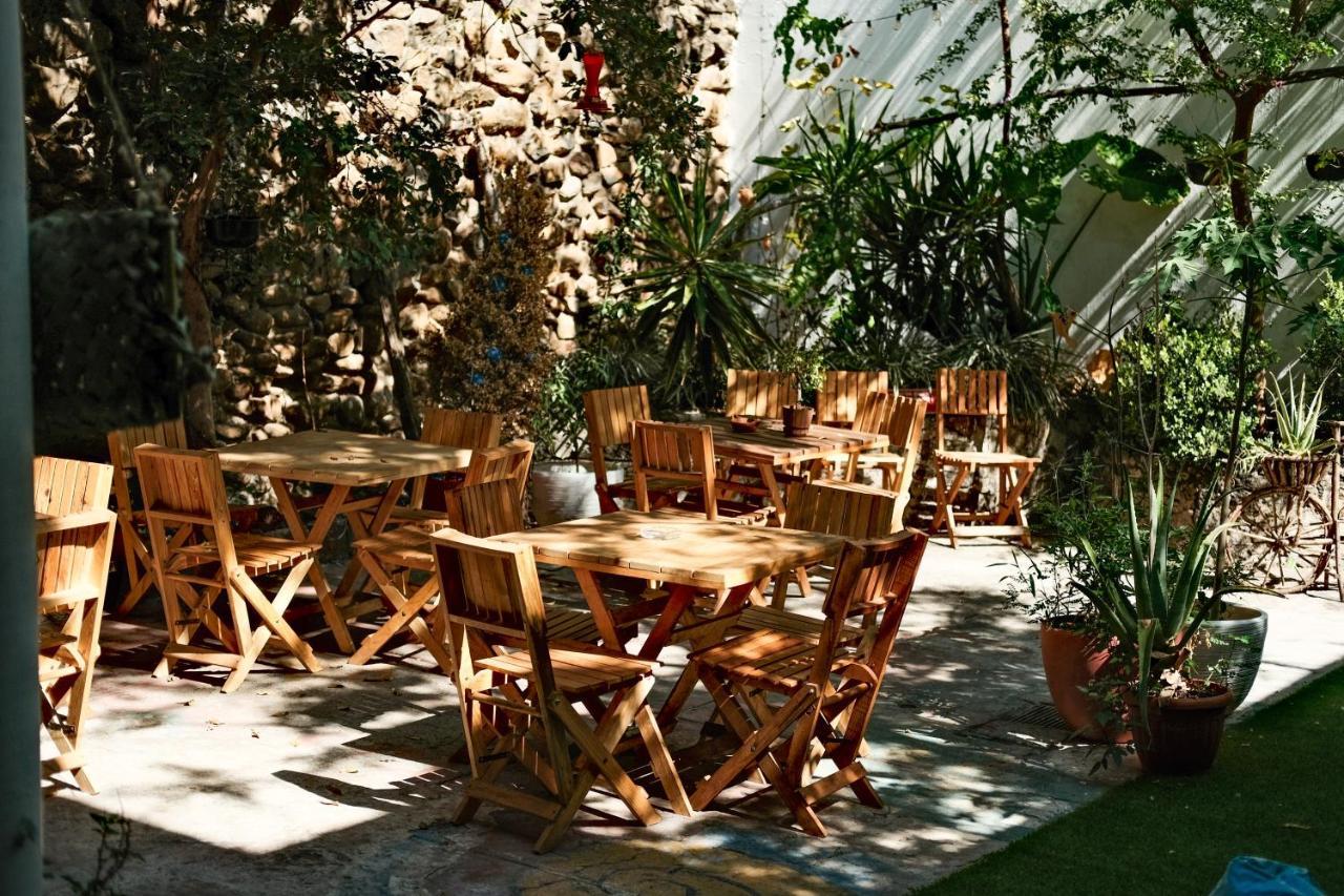 Leveli Coliving Hostal *